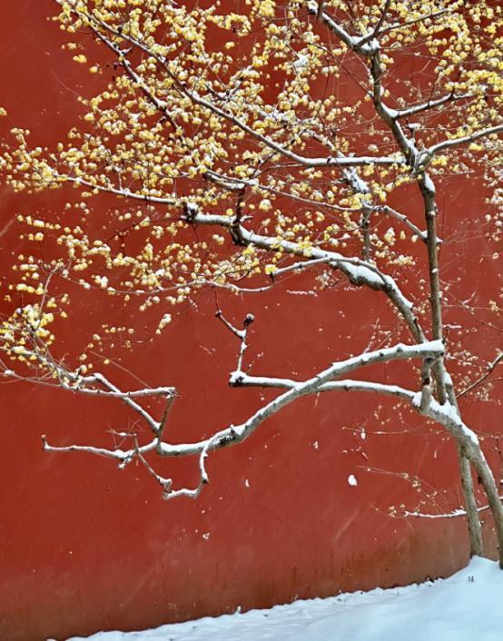 南京明孝陵(图源:网络)