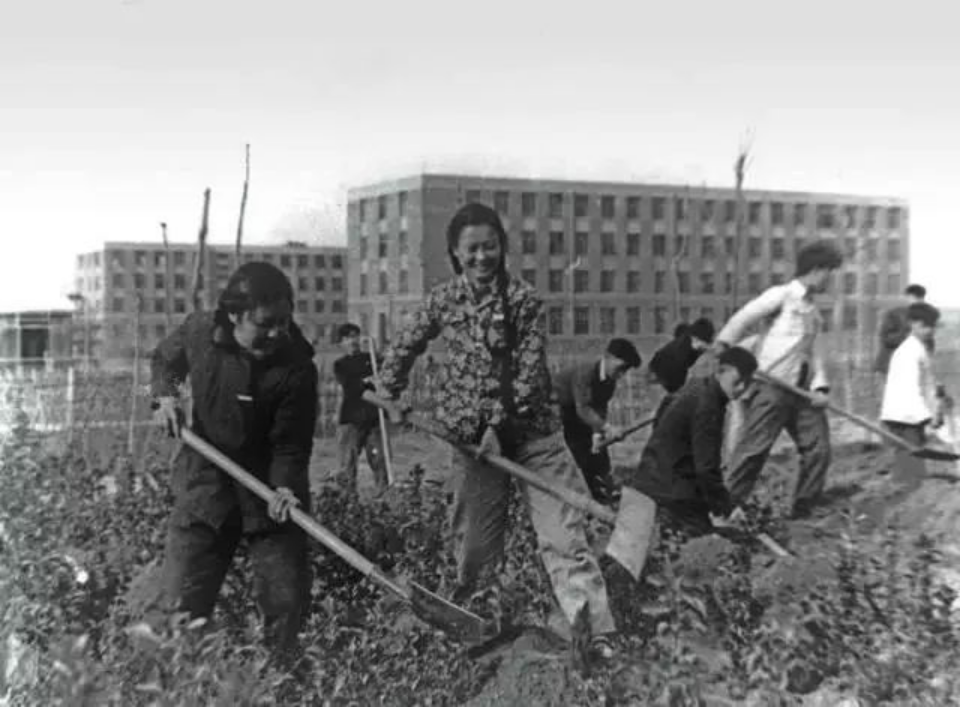 迁校初期,师生们进行校园绿化(图片来源:西安交通大学新闻网)