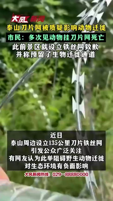 泰山刀片网被质疑影响动物迁徙 市民：多次见动物挂刀片网死亡 此前景区就设立铁丝网致歉 并称预留了生物迁徙通道