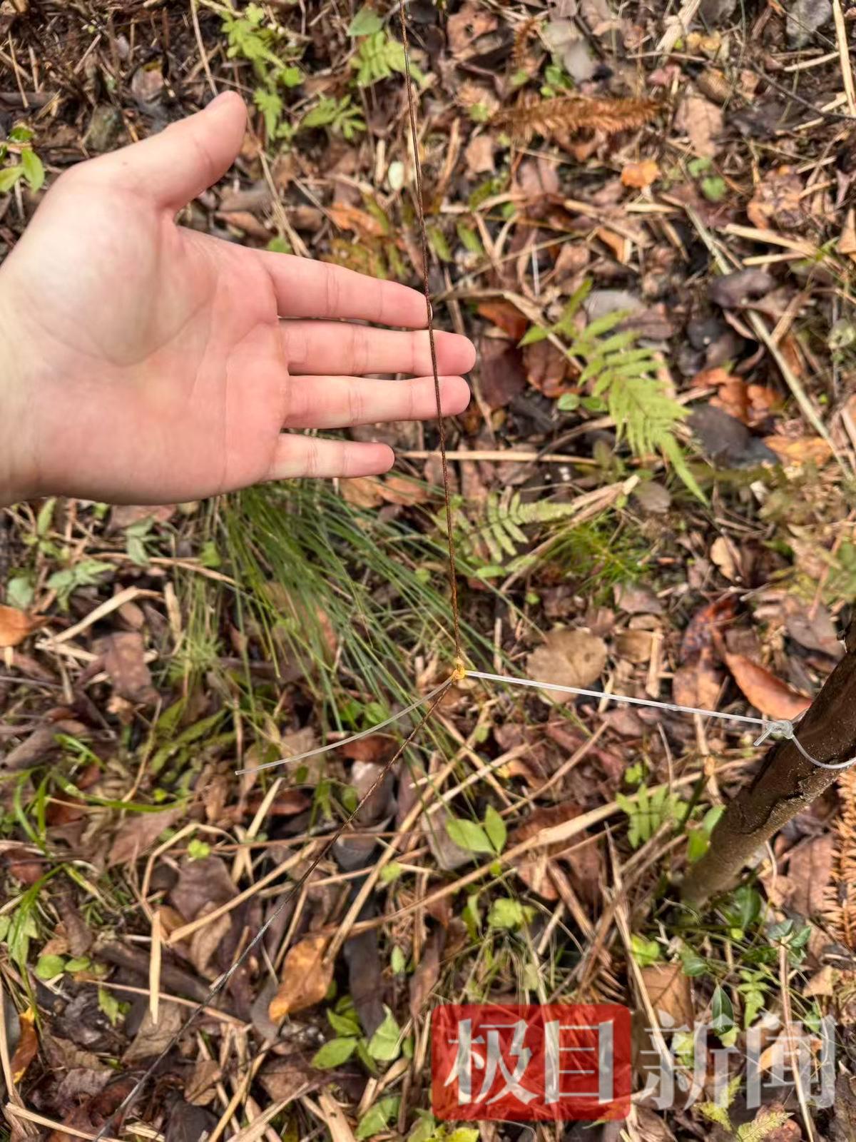 事发地附近布设的铁丝电网