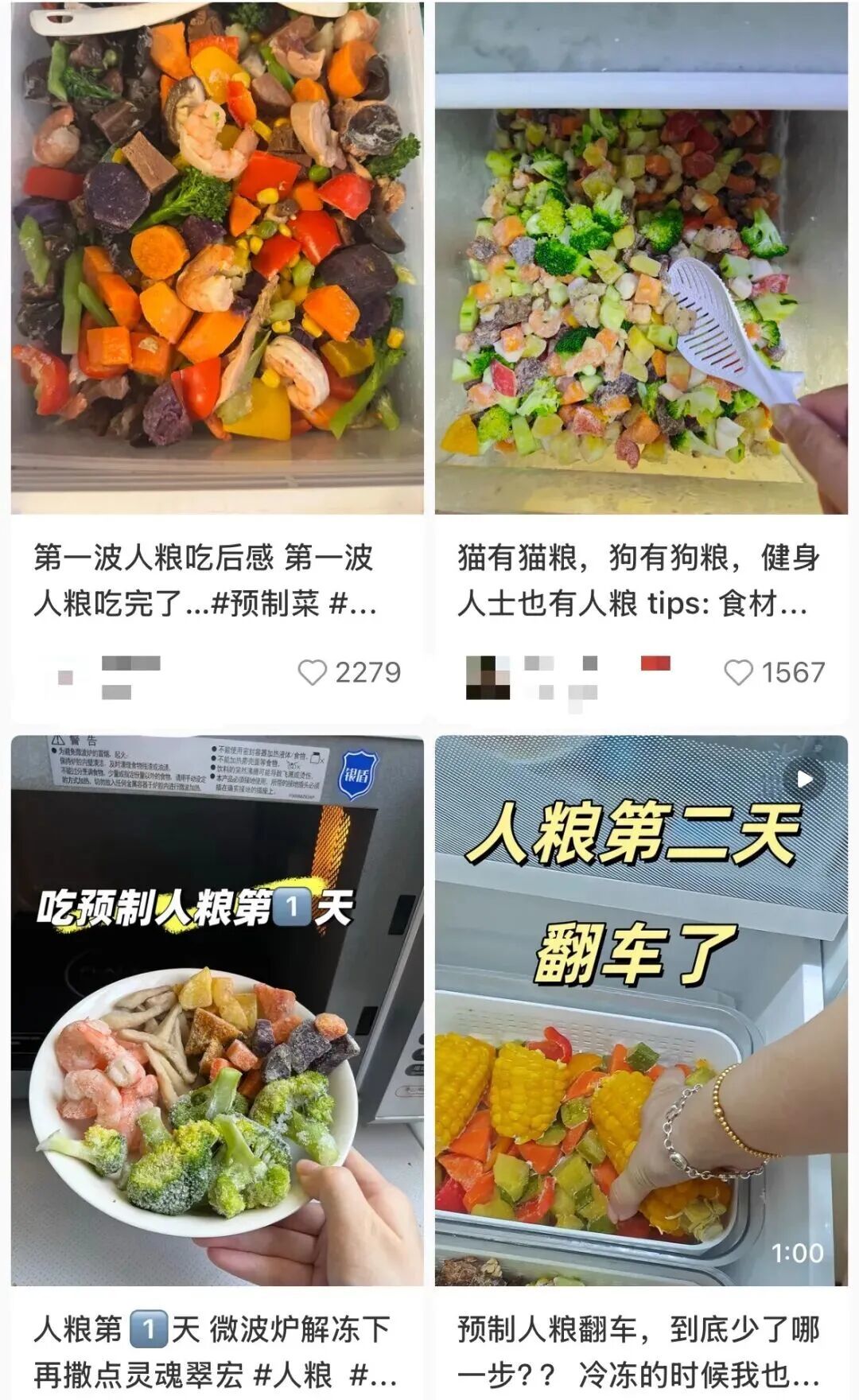 “预制人粮”话题词下,有不少体验帖。(图/小红书截图)