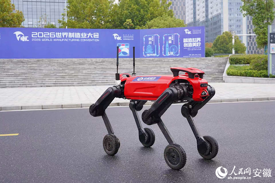 中保恒杰引入的机械狗。人民网记者 陈若天摄