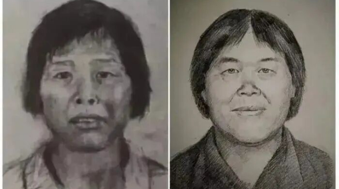 梅姨案已进入审判阶段