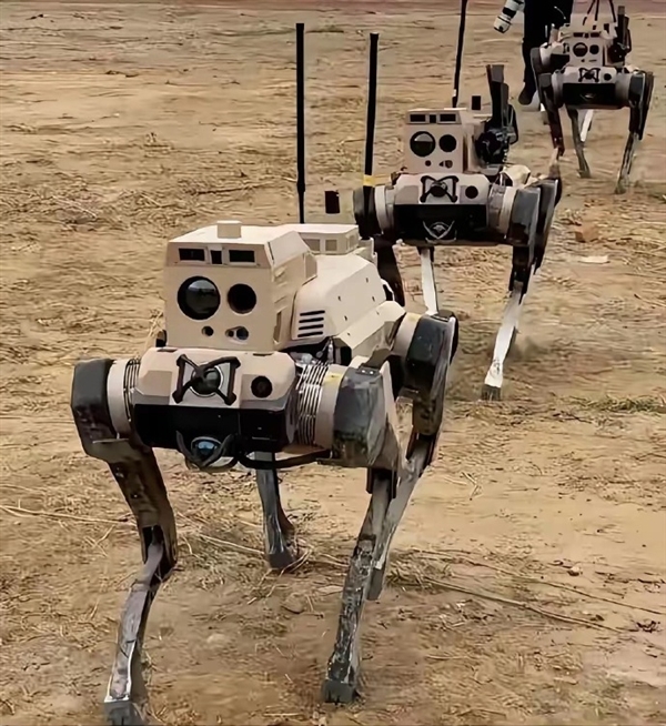 暗影、浴血、极地集结！中国机器狼群巷战画面首次公开：自主识别、瞄准