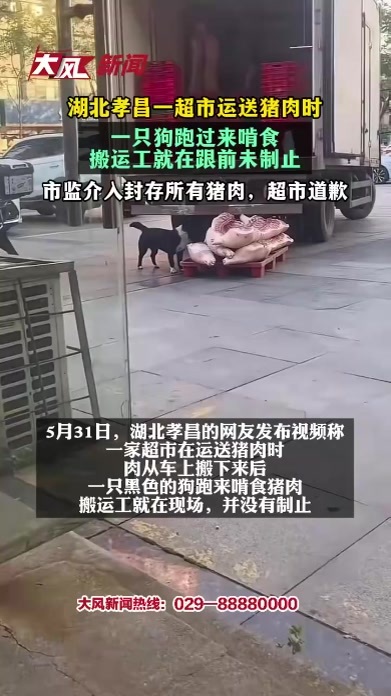 湖北孝昌一超市运送猪肉时，一只狗跑过来啃食，搬运工就在跟前未制止 市监介入封存所有猪肉，超市道歉