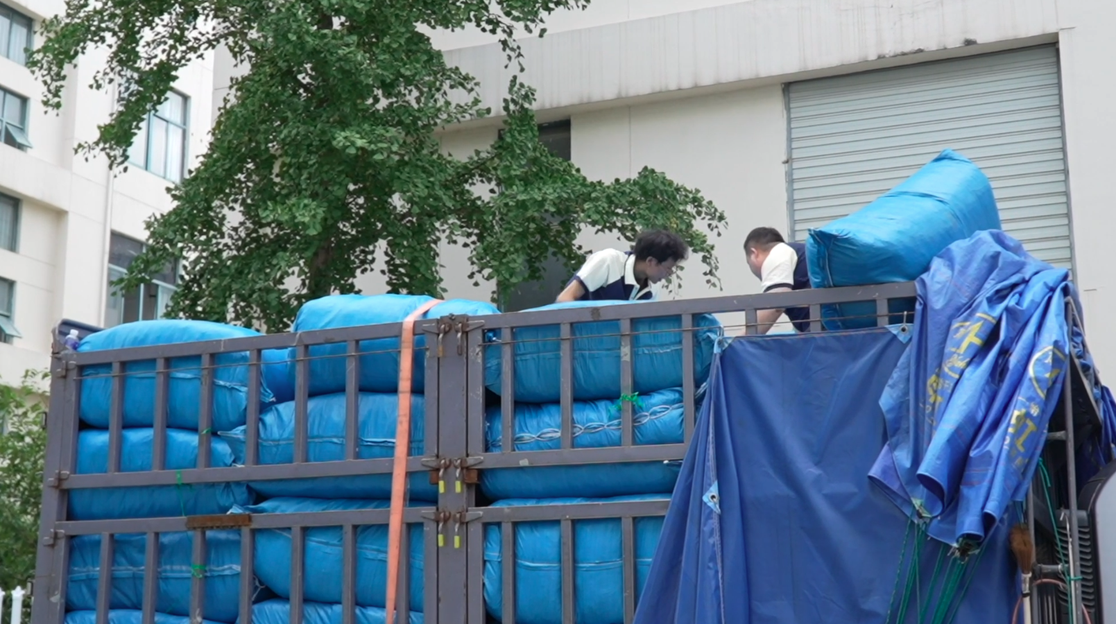 年销售额突破120亿!开学季在即,“浙”座小镇产的校服热销海内外_凤凰网