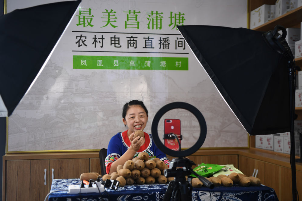 湖南省湘西州凤凰县廖家桥镇菖蒲塘村电子商务中心的主播黄小琼在直播销售猕猴桃(2020年9月10日摄)。新华社记者 薛宇舸 摄