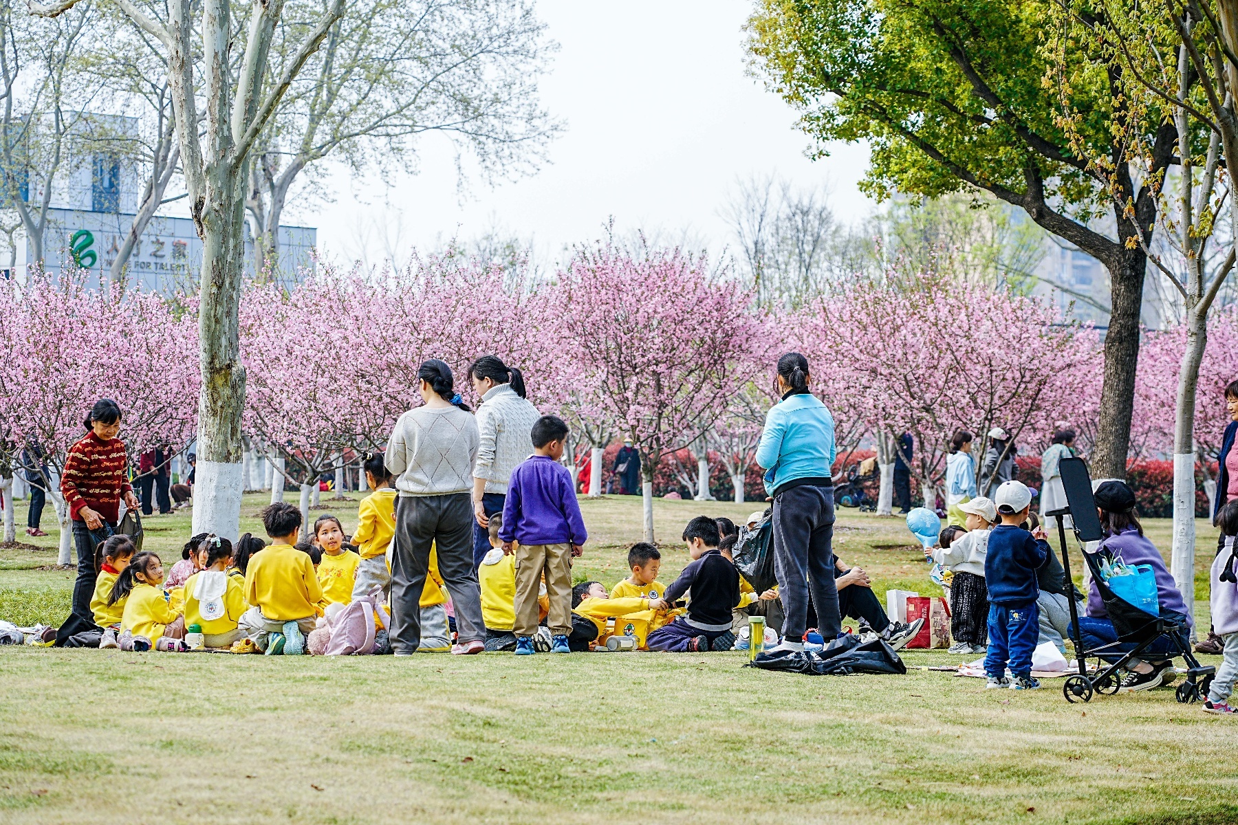 微信图片_20260327214525_1770_137