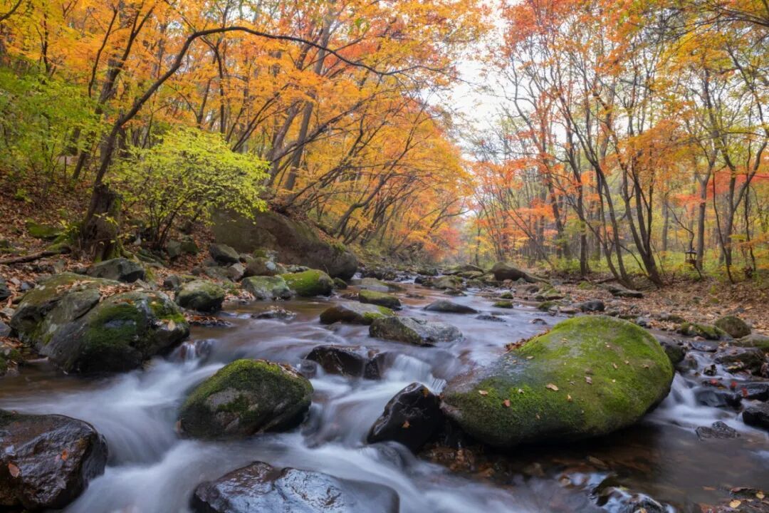 摄图网_501686577_本溪老边沟秋天美景_(企业商用).jpg