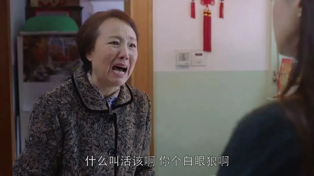 电视剧《欢乐颂》樊胜美与母亲 剧照