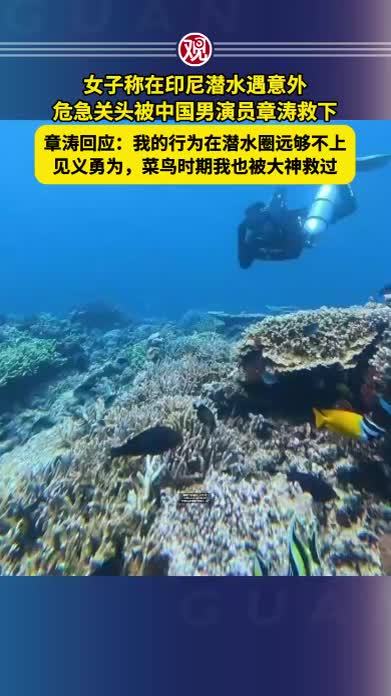 女子称在印尼潜水遇意外，危急关头被中国男演员章涛救下，章涛回应：我的行为在潜水圈远够不上见义勇为，菜鸟时期我也被大神救过