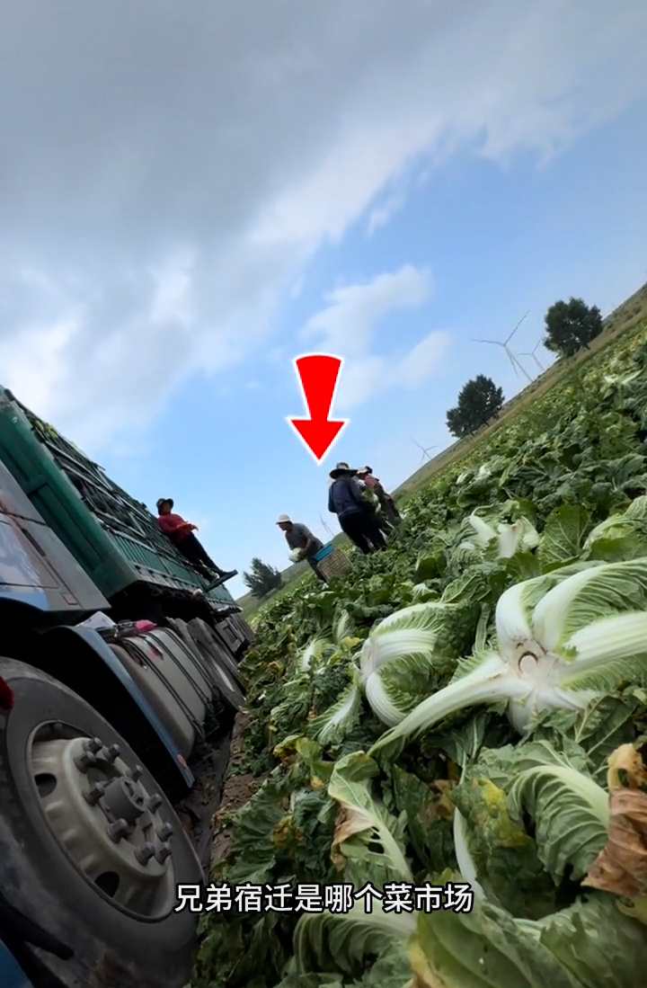 视频中拍摄到装车人员疑似在蘸取甲醛溶液