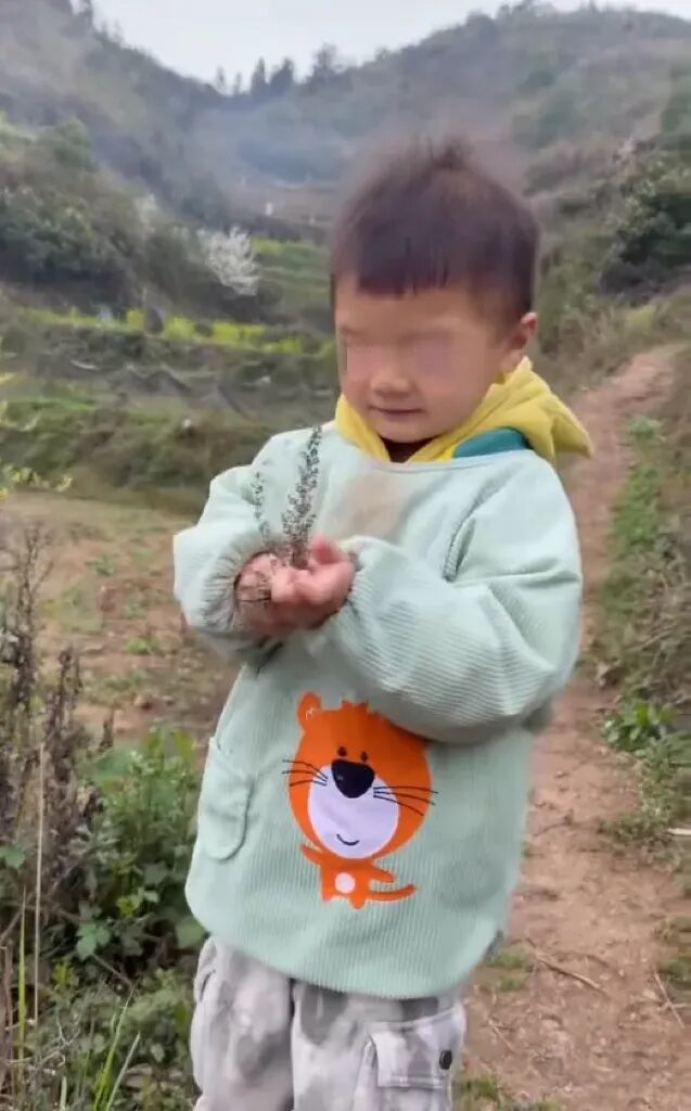 △男童喜欢手里攥着小草或者小花。