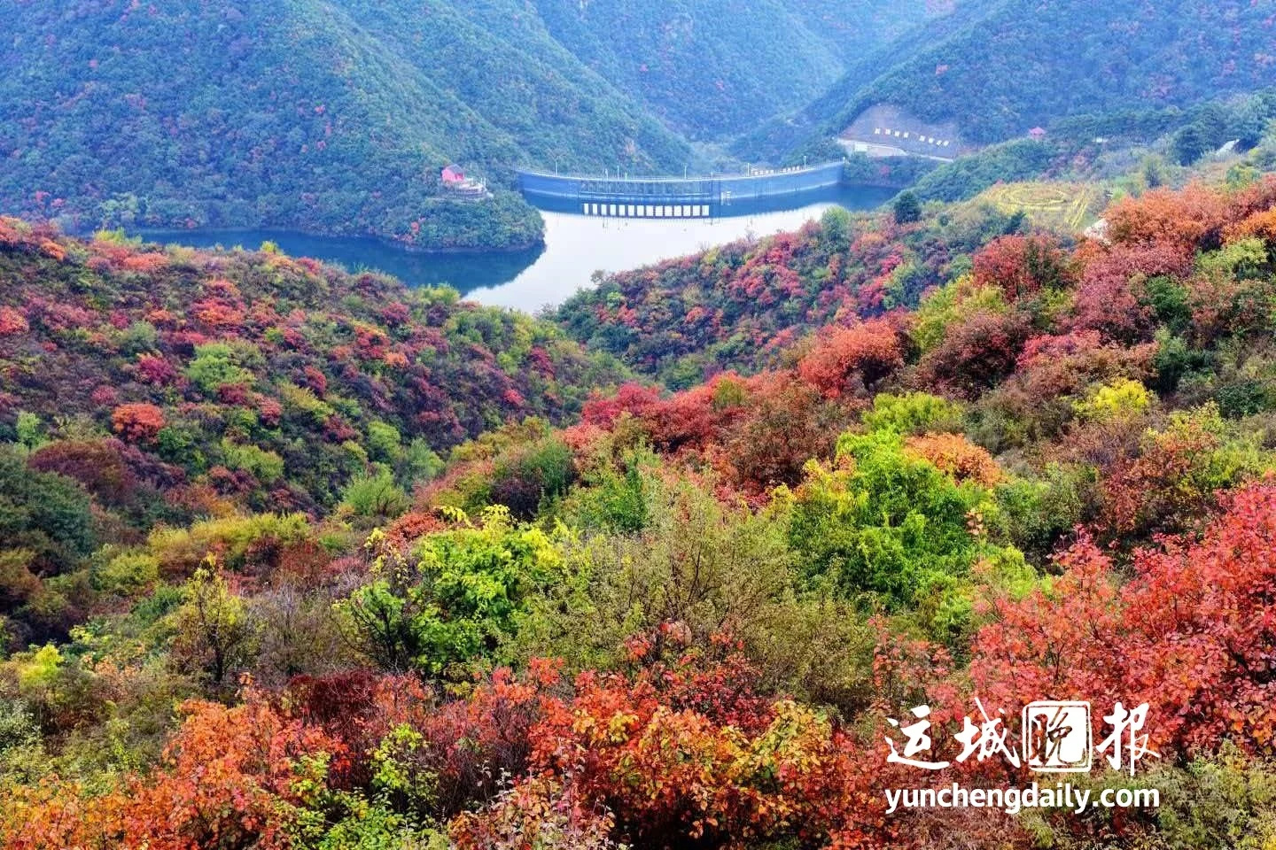 【在平陆，碧水红叶秋韵尽诗意】金秋时节，走进平陆，就像翻开了一幅徐徐