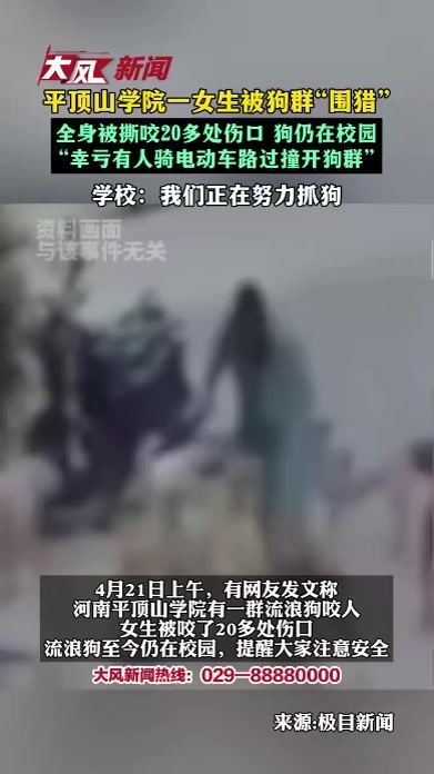 平顶山学院一女生被狗群“围猎” 全身被撕咬20多处伤口，狗仍在校园，“幸亏有人骑电动车路过撞开狗群”，学校：我们正在努力抓狗