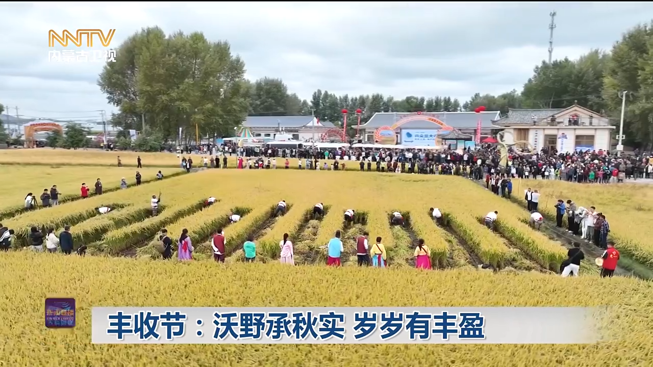 视频截图