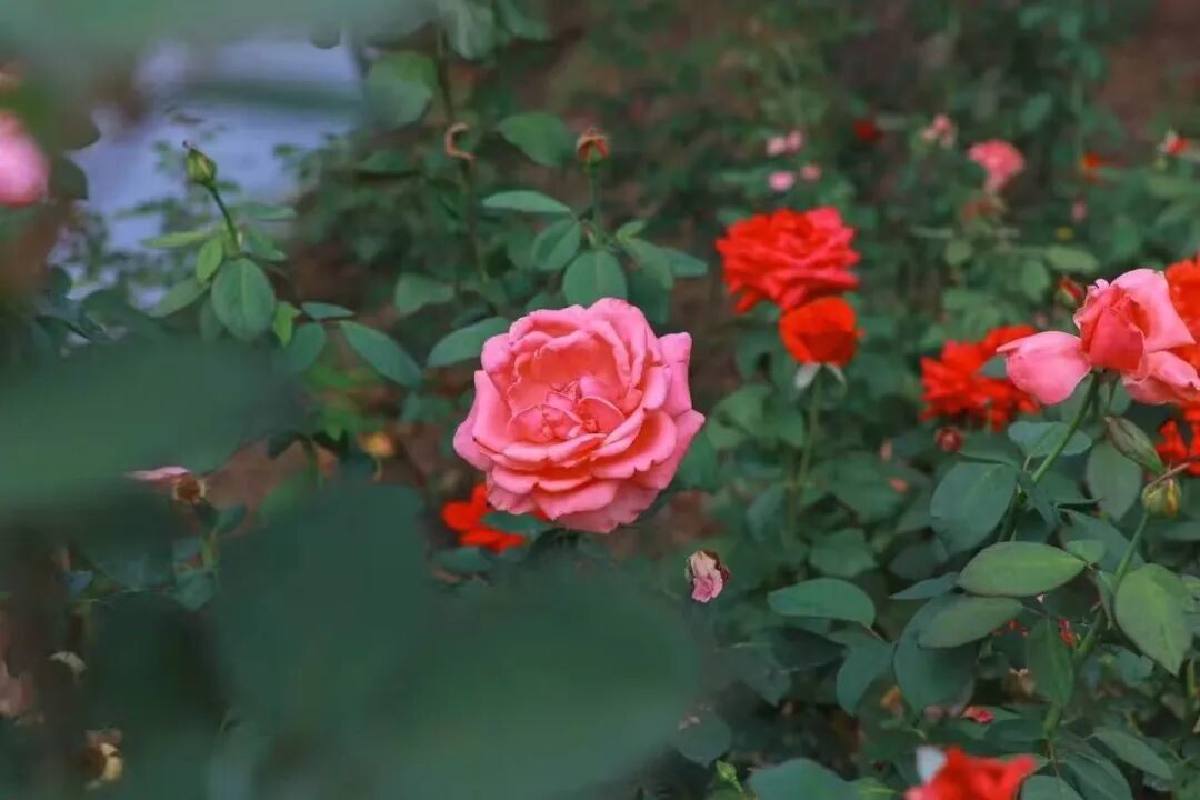 微信图片_20260928143335_291_40.jpg