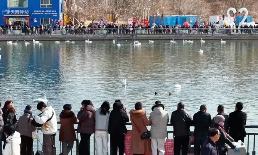 过年人潮已刷屏!新疆各地新年活动扎堆 满城都是人人人