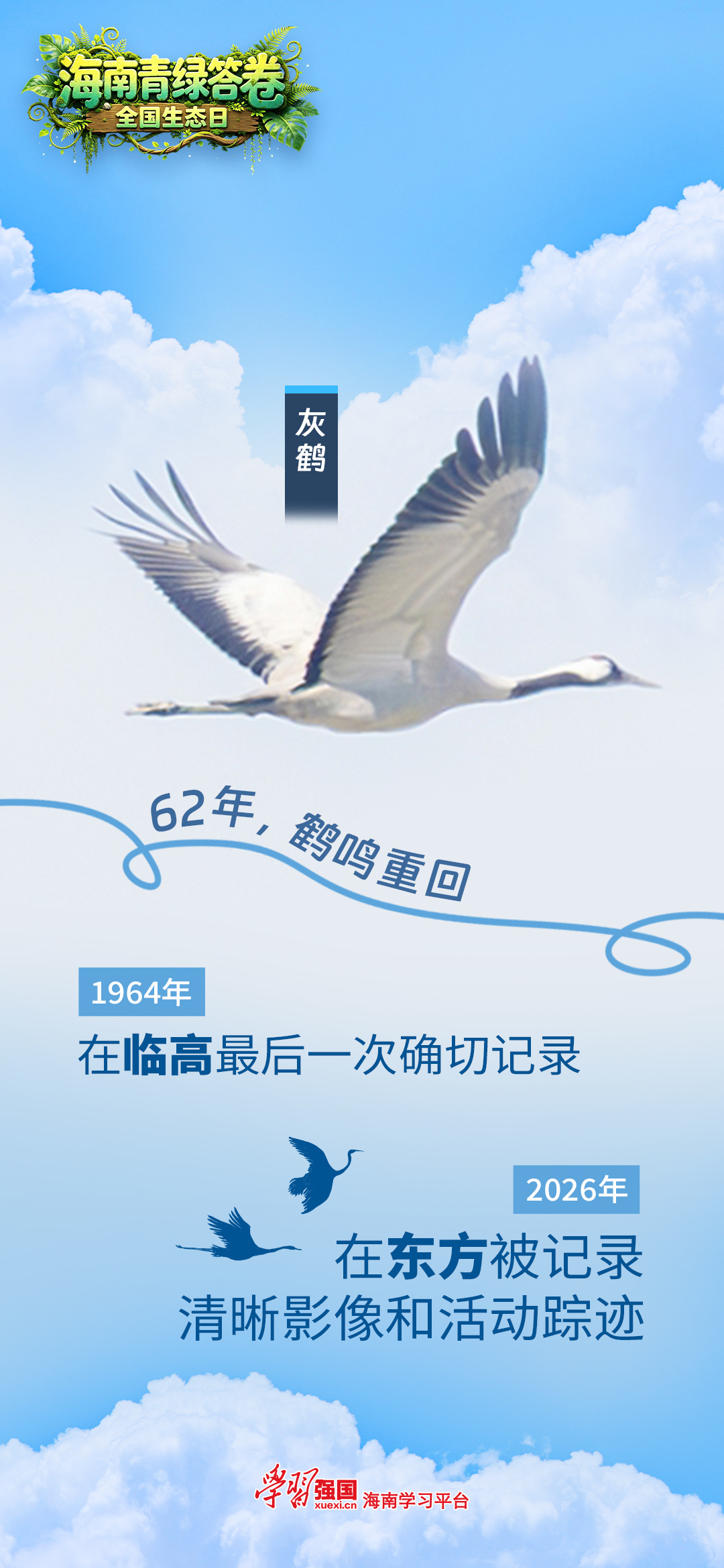 海南:别急,正在给大自然“充植”_凤凰网