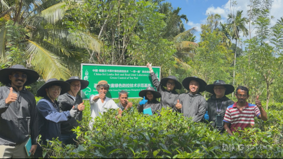 金林红团队和茶农们在一起