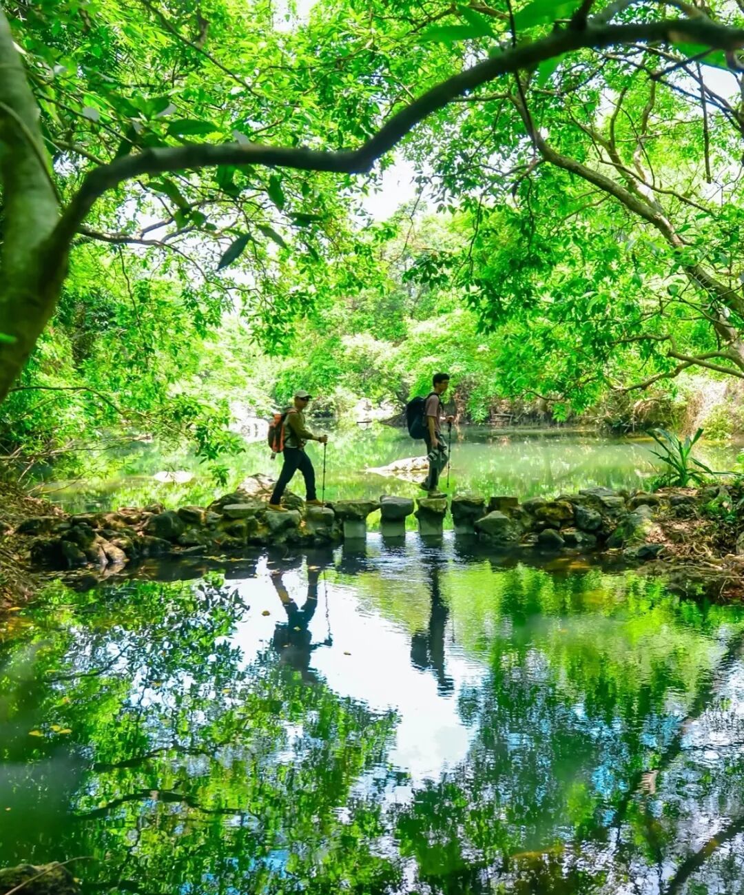 6d209df4010b2fa68f31c05b7664975.jpg