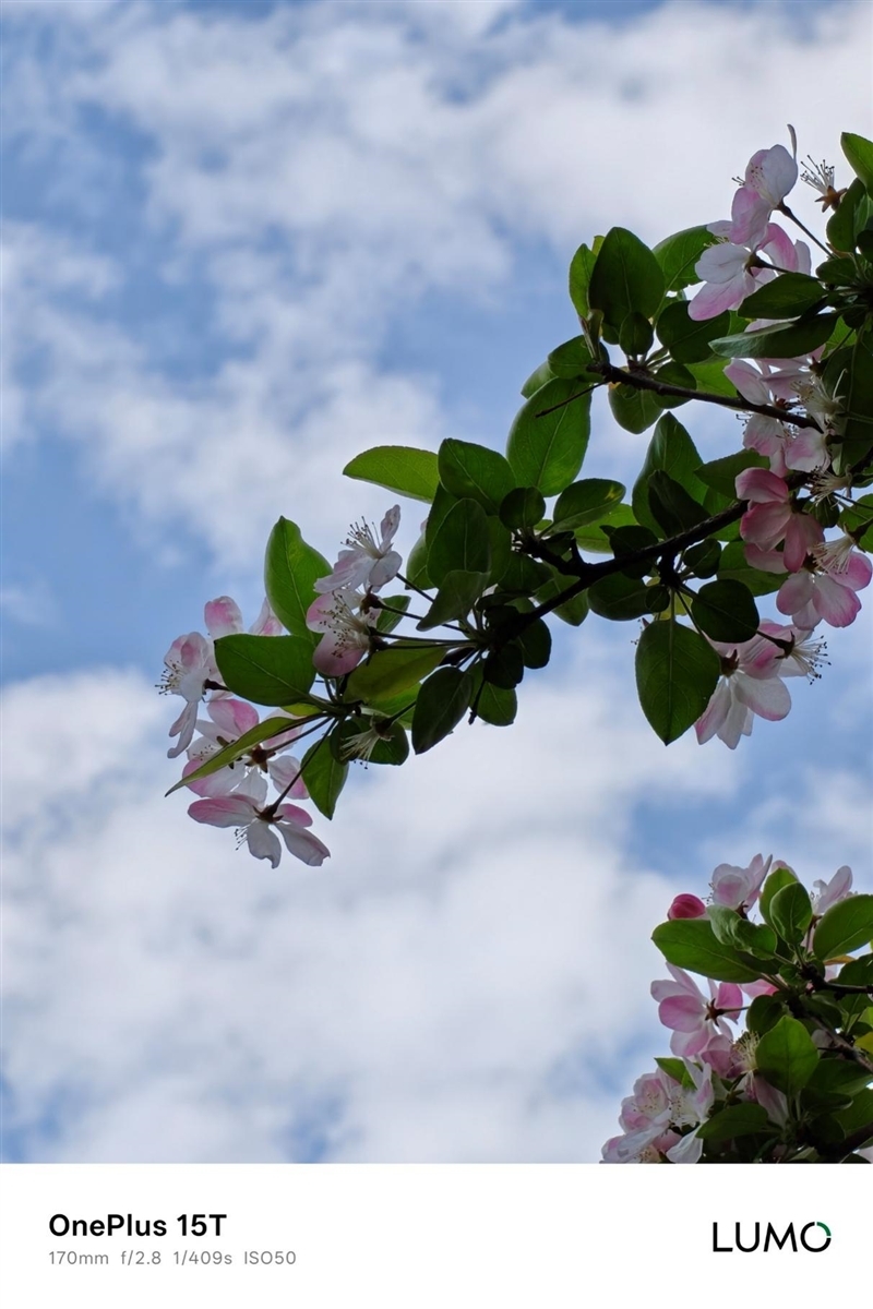 小屏不妥协配置反升级！一加15T手机深度评测：小巧玲珑的满血性能旗舰