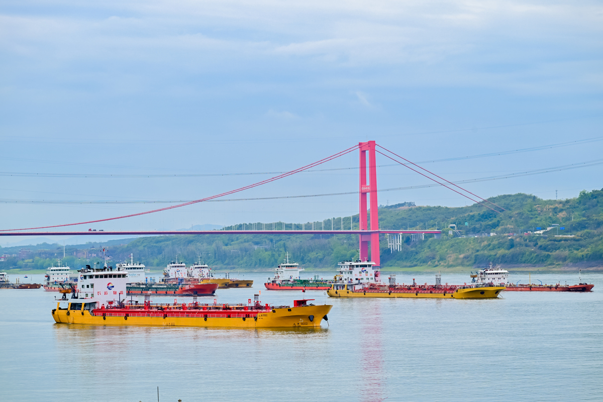 DSC_6440-opq4469550995.jpg
