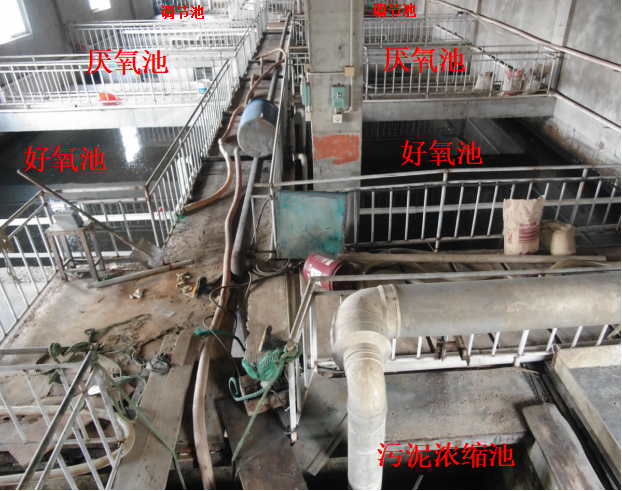 污水处理池现场照片。