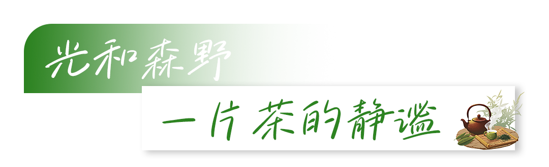 线路小标题3.png