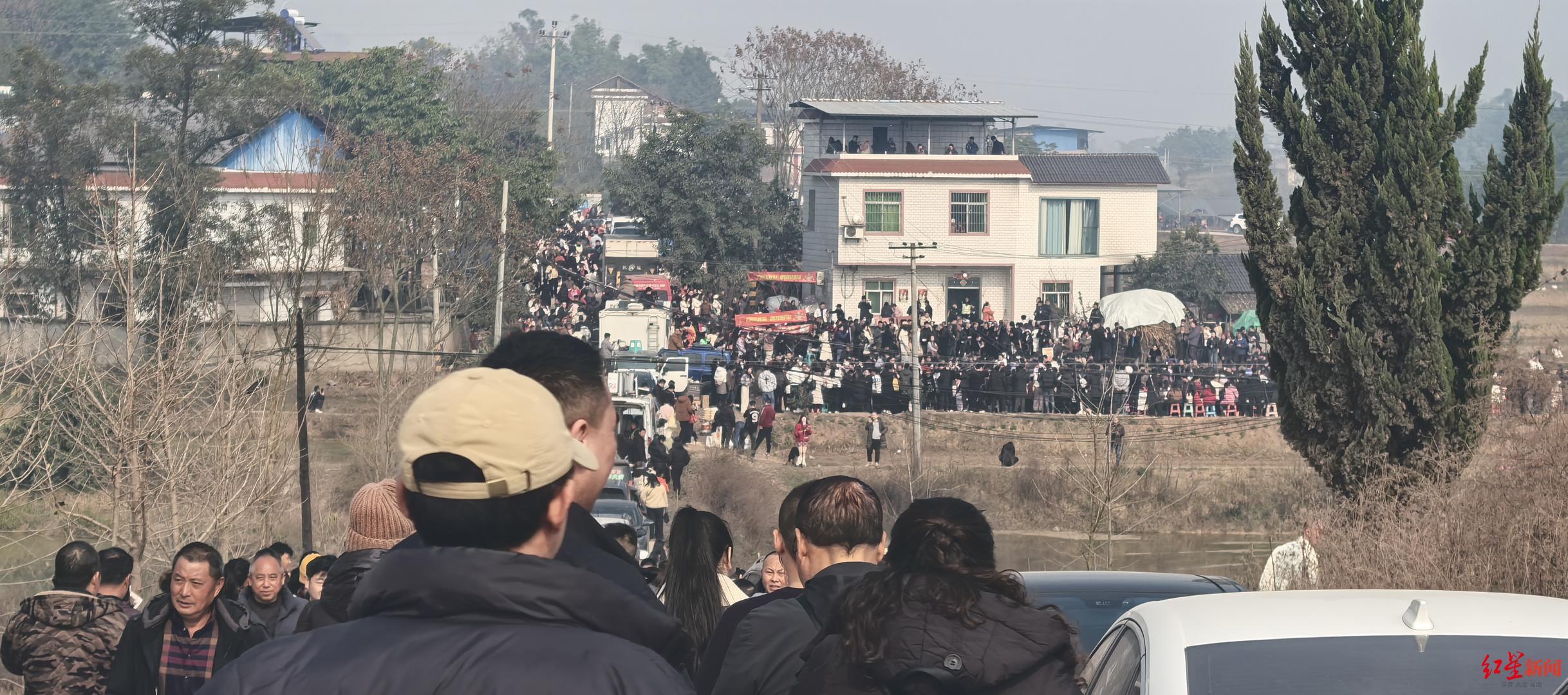 ▲“呆呆”家“人满为患” 张杨 摄