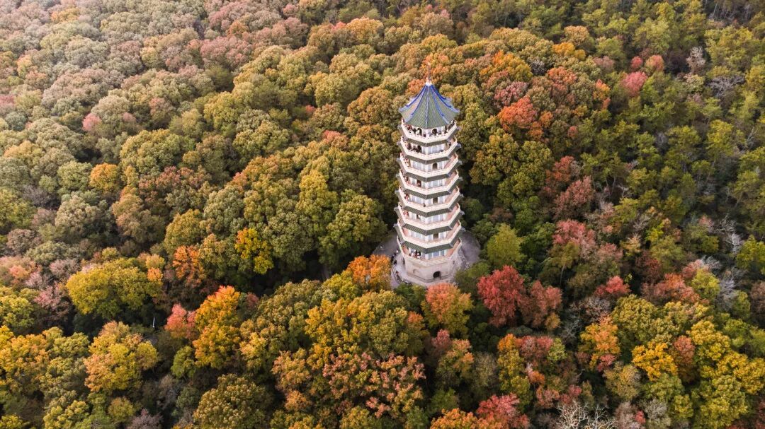摄图网_700809403_深秋南京灵谷寺灵谷塔_(企业商用).jpg