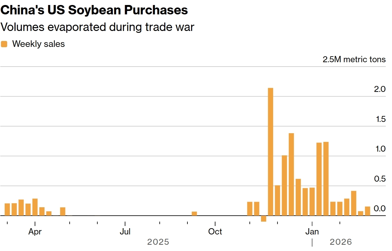 中国对美国大豆的采购量。彭博社制图