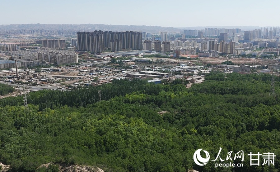 在楼房沟林场远眺白银区。人民网记者 米媛摄