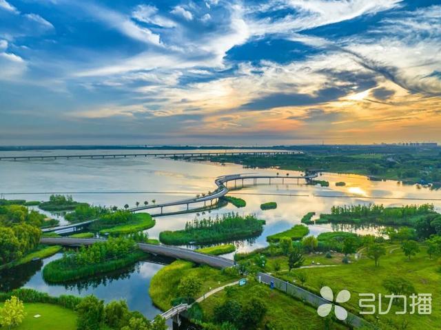 元荡湖郊野公园航拍图。苏州市园林和绿化管理局供图