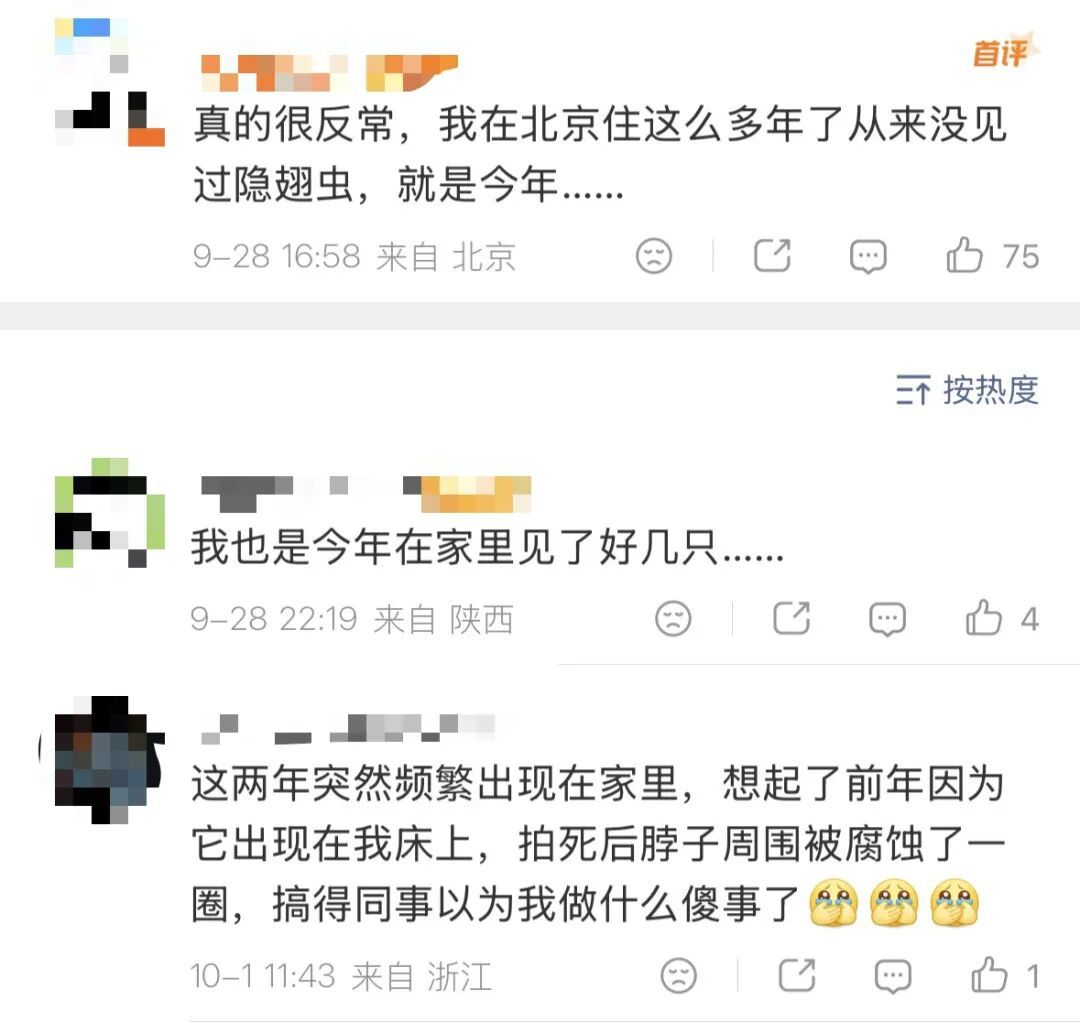 不同坐标的网友表示隐翅虫的存在感增强。(图/微博截图)