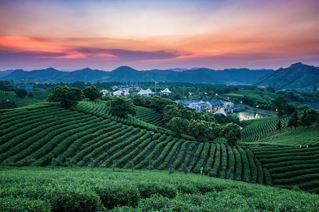 摄图网_500981677_浙江安吉茶园别墅区夕阳_(企业商用).jpg