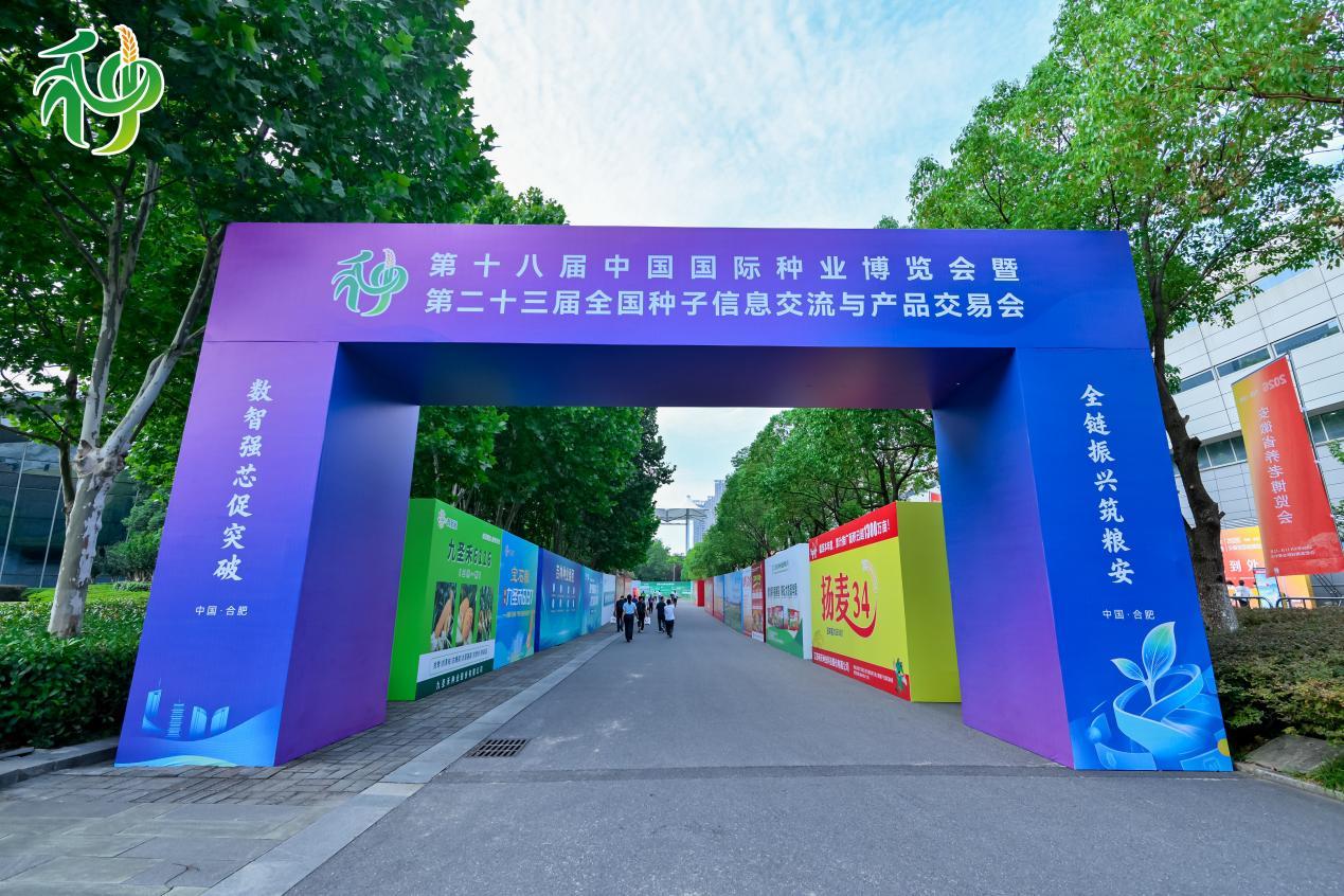 活动现场展区。主办方供图