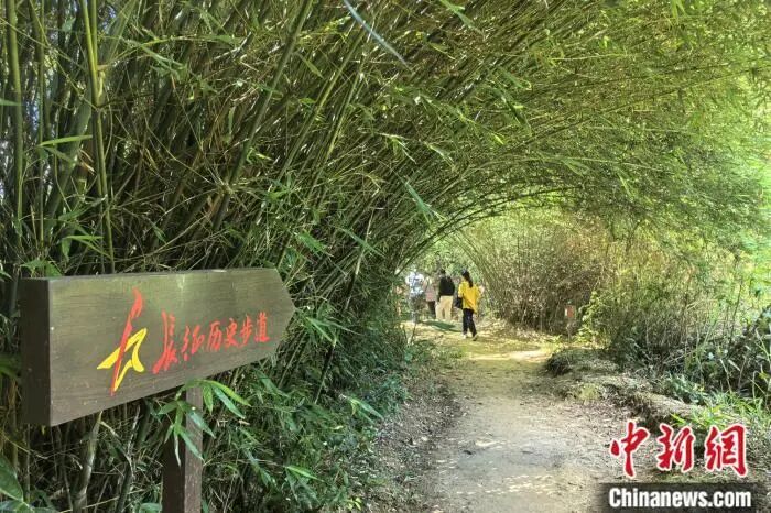 7月16日,游客重走江西赣州于都县祁禄山镇的红军长征小道。吴鹏泉 摄.jpg