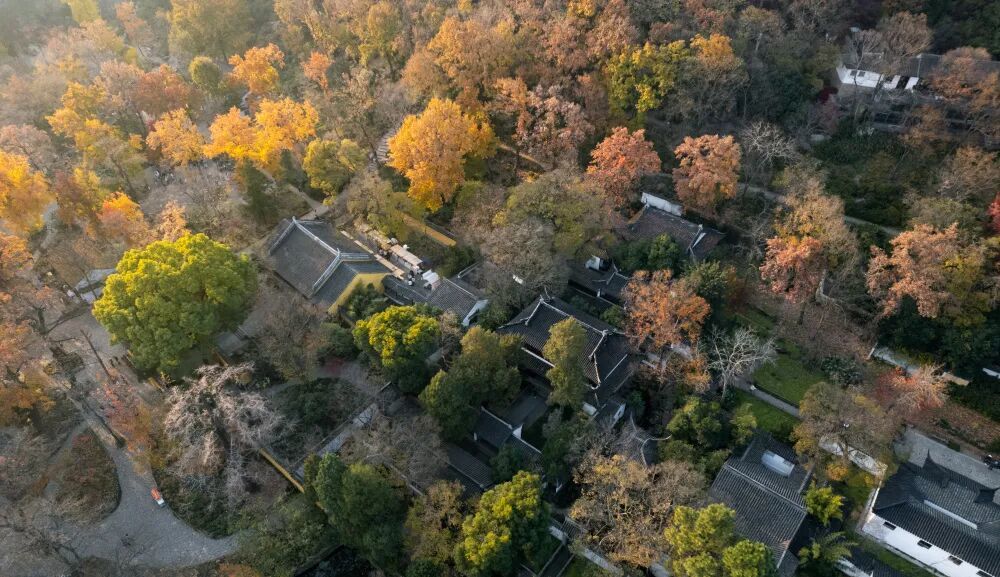 摄图网_700009059_苏州天平山秋天秋景_(小样图仅供学习、草稿使用).jpg