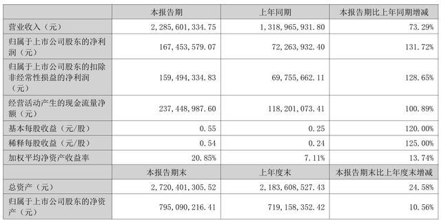 图片来源：半年报截图