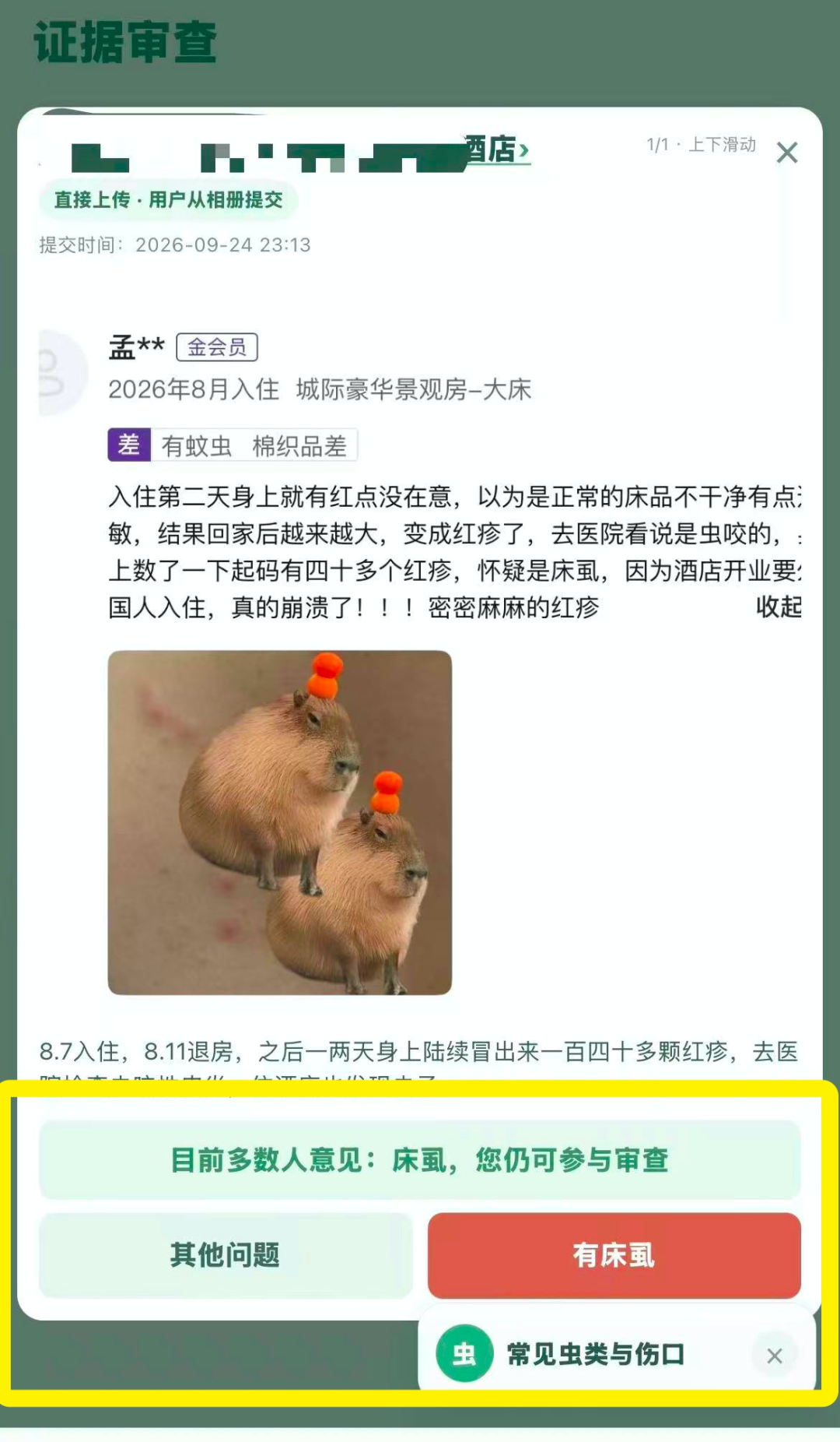 △网友自行上传证据。
