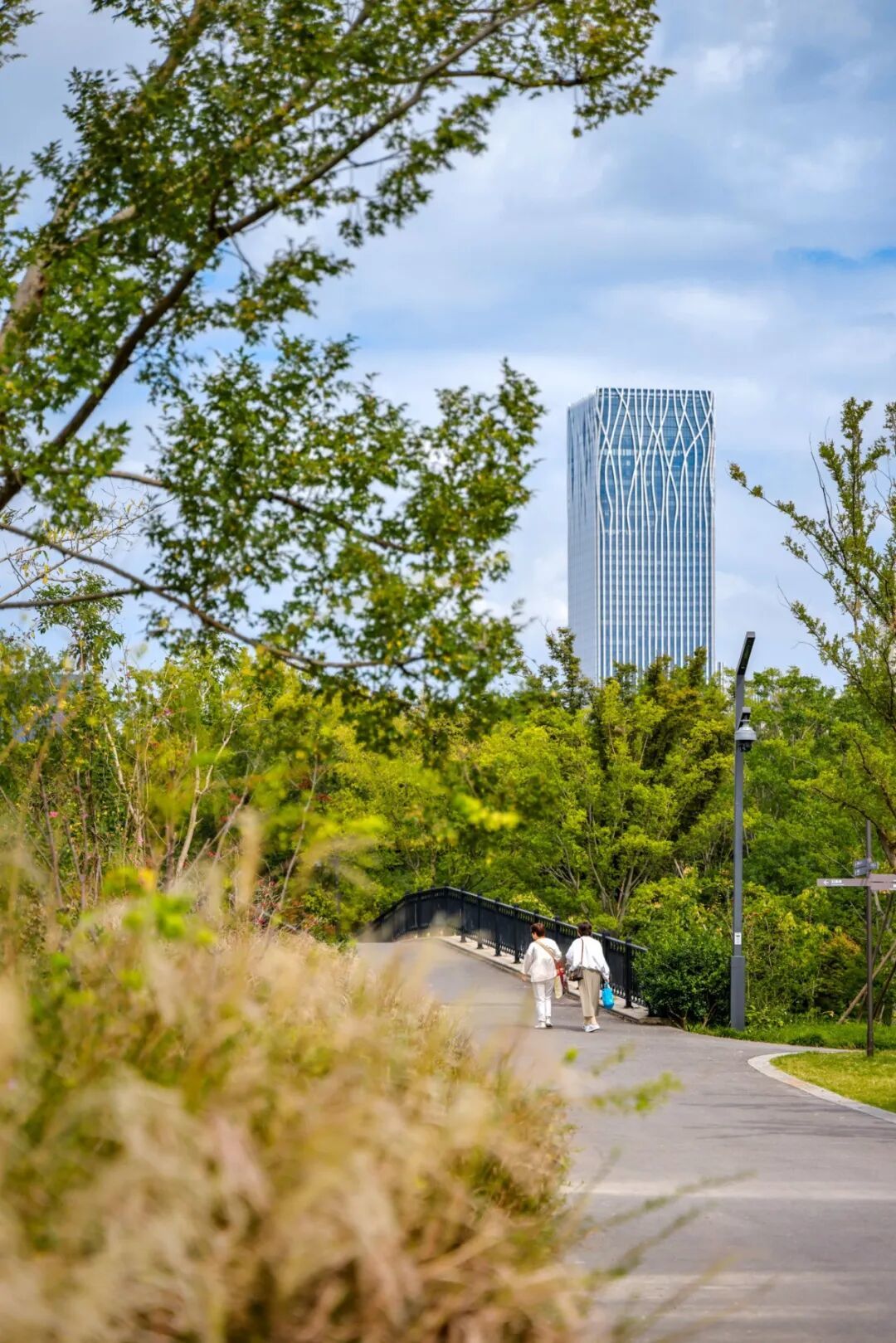 10.9 三林滨江城市森林朱旭洁摄 (3 - 42).jpg