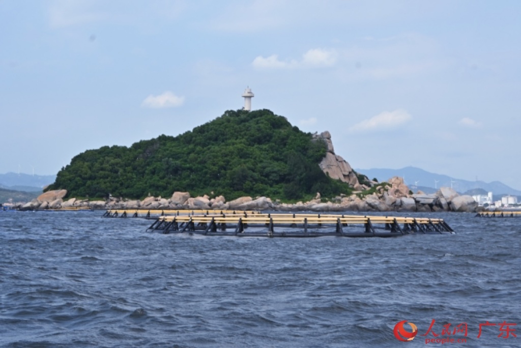 潮州市饶平县柘林湾的重力式深水网箱。人民网 李国华摄