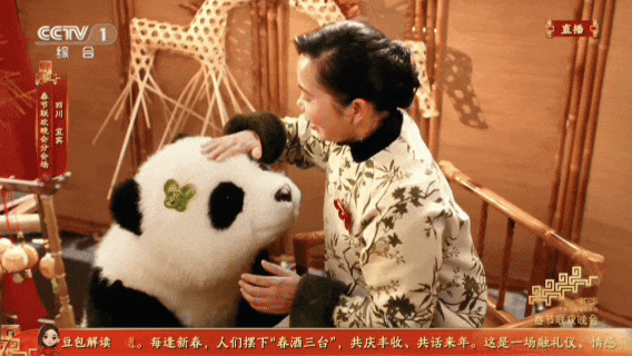 极限30天机器狗爆改大熊猫！揭秘春晚百台级机器人群控演出