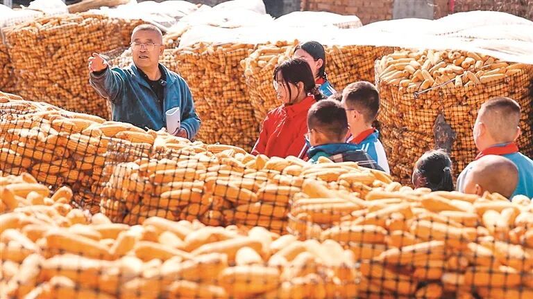 三墩村小学附近，姚建在农户家的玉米垛前给学生授课。