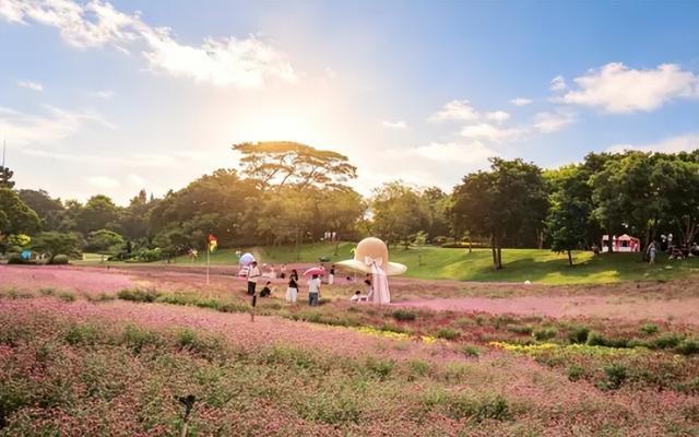 图源:厦门市园林植物园、厦门文旅植物园