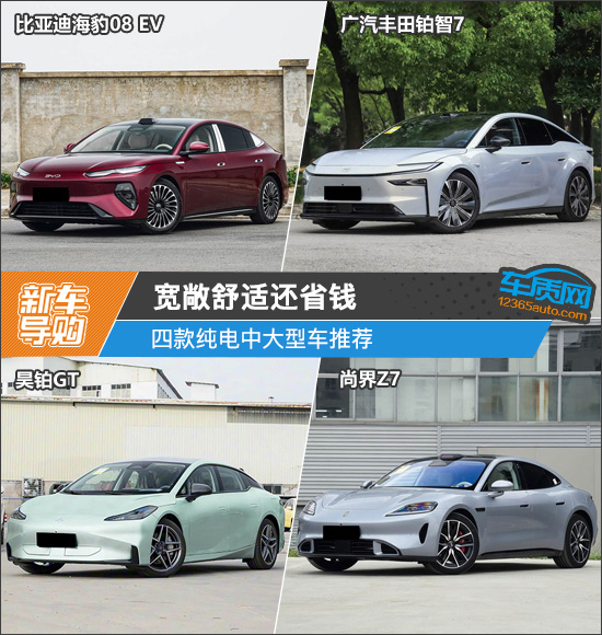 宽敞舒适还省钱 四款纯电中大型车推荐