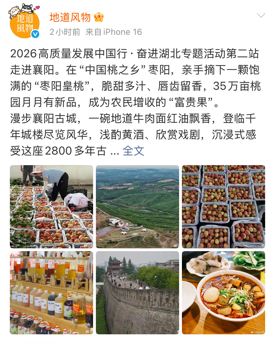 微信图片_20260528172656_111_22.jpg