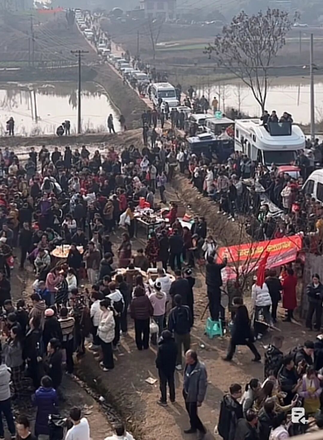 合川呆呆家最后一天刨猪宴直播截图