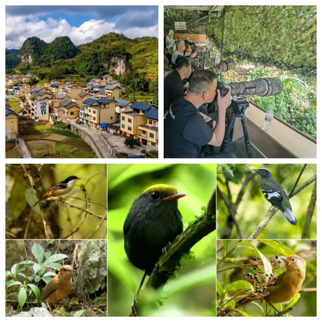 未命名4.jpg